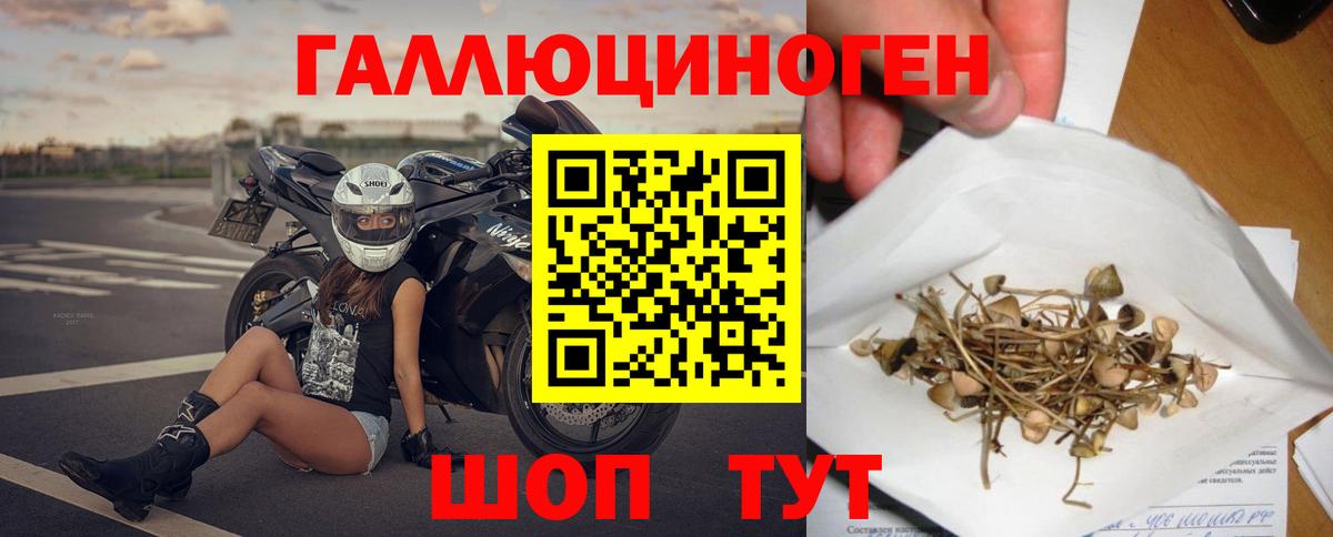 Псилоцибиновые грибы ЛСД  Вход с VPN  Красноармейск 